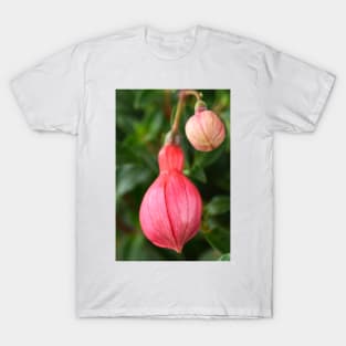 Fuchsia  &#39;Ringwood Market&#39;  Flower buds T-Shirt